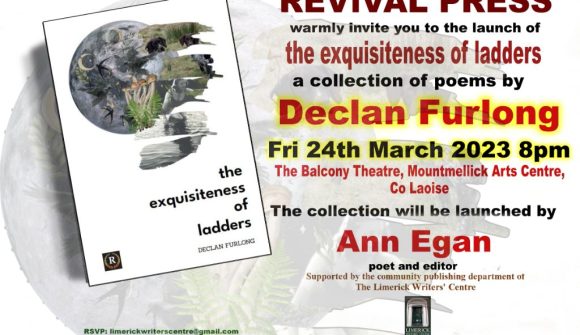 Book Launch: the exquisiteness of ladders by Declan Furlong