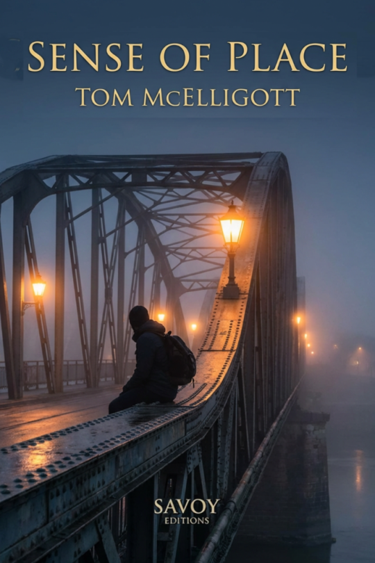 Sense of Place by Tom McElligott