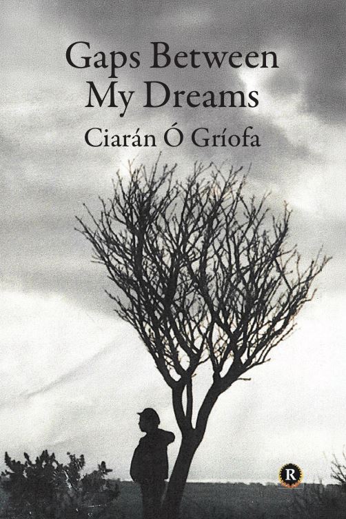Gaps Between My Dreams by Ciarán Ó Gríofa
